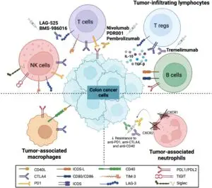 fmed-09-955599-g001-300x265 Many Cancer Therapies Suppress T Cell Immune Responses